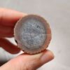 20260725_164824 Zhanguo Red Agate Pair Stone (unpolished) ZR075