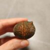 20260725_164940 Zhanguo Red Agate Pair Stone (unpolished) ZR075