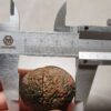 20260725_165003 Zhanguo Red Agate Pair Stone (unpolished) ZR075