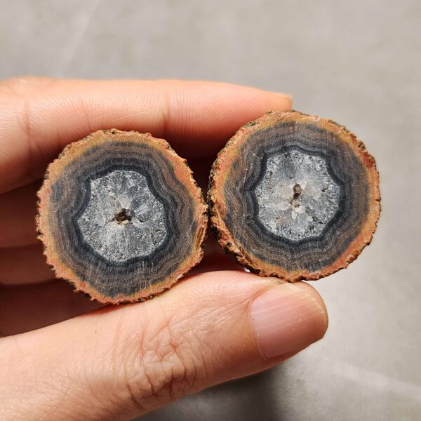20260725_165126 Zhanguo Red Agate Pair Stone (unpolished) ZR076