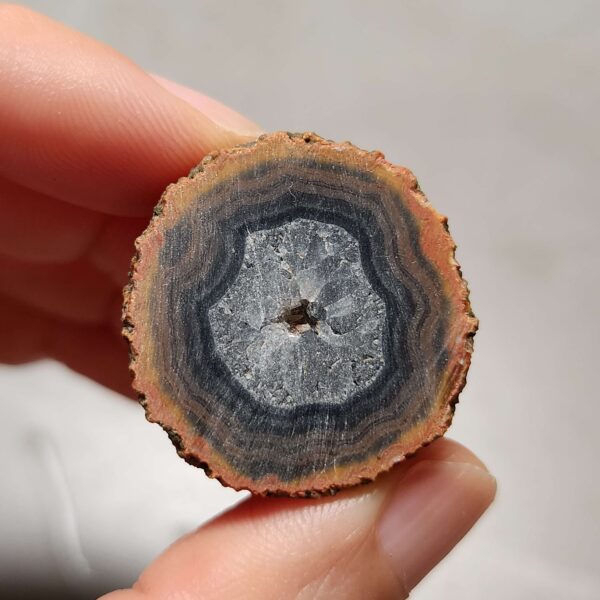 20260725_165136 Zhanguo Red Agate Pair Stone (unpolished) ZR076