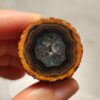 20260725_165220 Zhanguo Red Agate Pair Stone (unpolished) ZR076