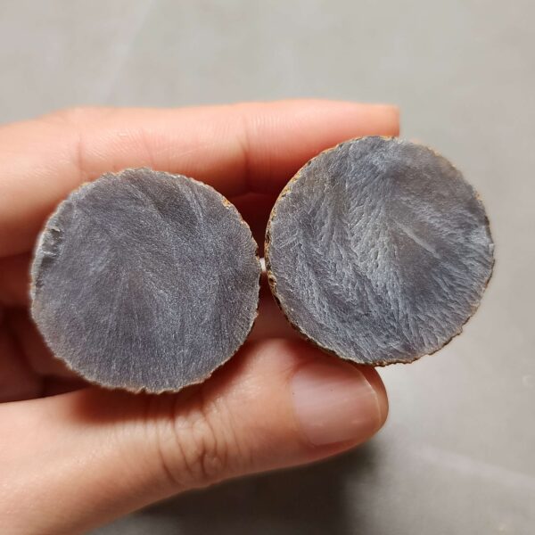 20260725_165351 Zhanguo Red Agate Pair Stone (unpolished) ZR077