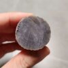 20260725_165357 Zhanguo Red Agate Pair Stone (unpolished) ZR077