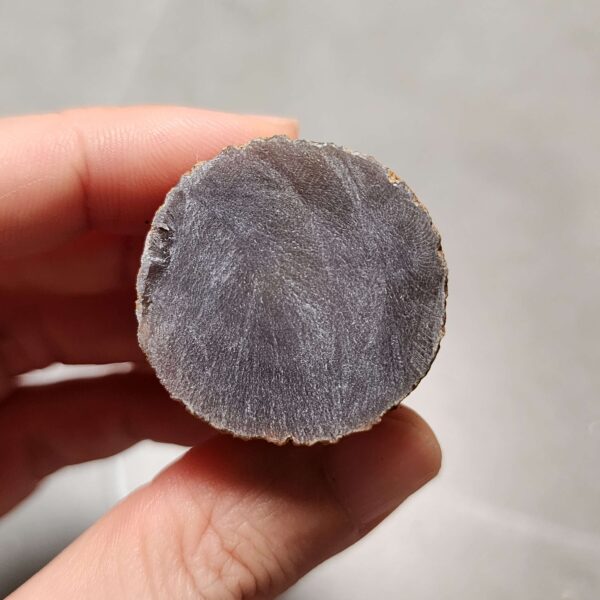 20260725_165357 Zhanguo Red Agate Pair Stone (unpolished) ZR077