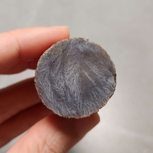 20260725_165412 Zhanguo Red Agate Pair Stone (unpolished) ZR077