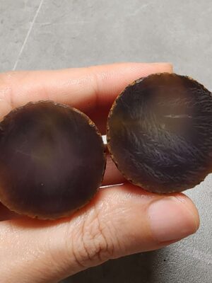 20260725_165505 Zhanguo Red Agate Pair Stone (unpolished) ZR077