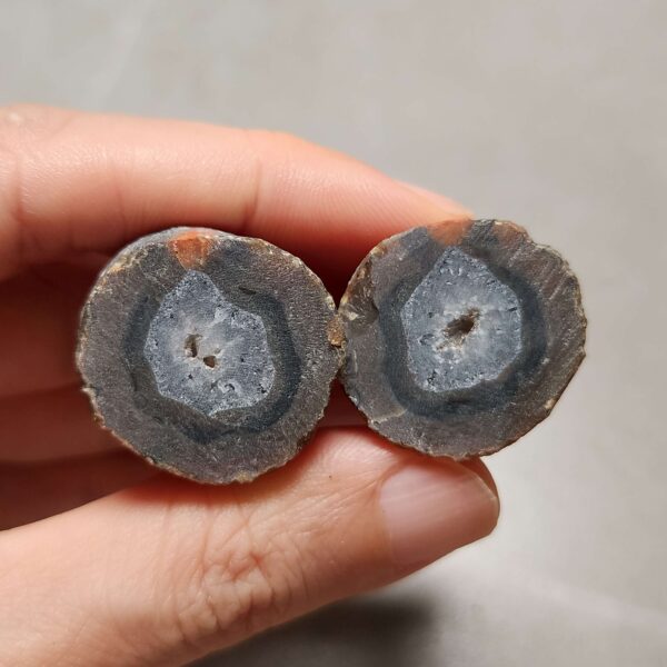 20260725_165851 Zhanguo Red Agate Pair Stone (unpolished) ZR078