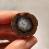 20260725_170000 Zhanguo Red Agate Pair Stone (unpolished) ZR078