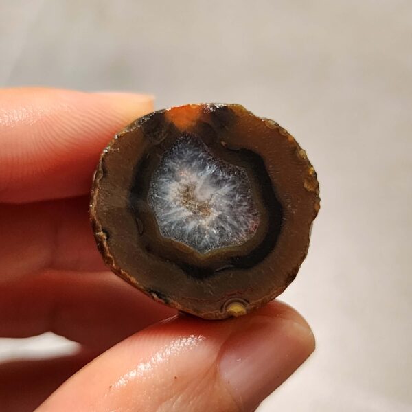 20260725_170000 Zhanguo Red Agate Pair Stone (unpolished) ZR078