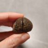 20260725_170035 Zhanguo Red Agate Pair Stone (unpolished) ZR078