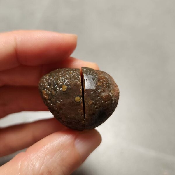 20260725_170040 Zhanguo Red Agate Pair Stone (unpolished) ZR078