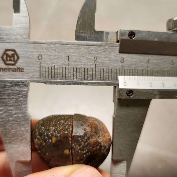 20260725_170107 Zhanguo Red Agate Pair Stone (unpolished) ZR078
