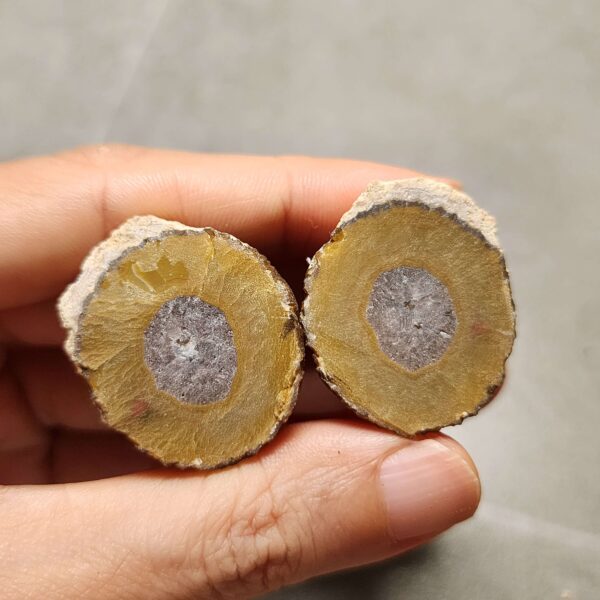 20260725_170248 Zhanguo Red Agate Pair Stone (unpolished) ZR079