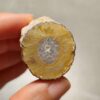 20260725_170259 Zhanguo Red Agate Pair Stone (unpolished) ZR079