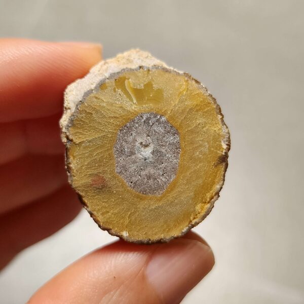 20260725_170259 Zhanguo Red Agate Pair Stone (unpolished) ZR079