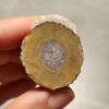 20260725_170305 Zhanguo Red Agate Pair Stone (unpolished) ZR079