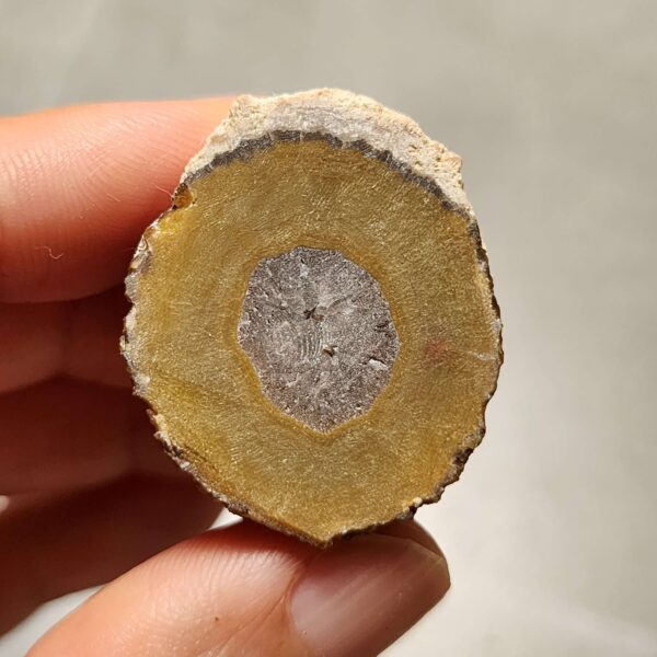 20260725_170305 Zhanguo Red Agate Pair Stone (unpolished) ZR079