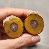 20260725_170343 Zhanguo Red Agate Pair Stone (unpolished) ZR079