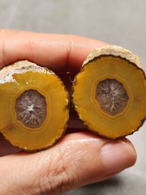 20260725_170343 Zhanguo Red Agate Pair Stone (unpolished) ZR079