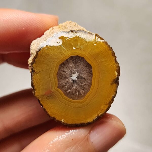 20260725_170357 Zhanguo Red Agate Pair Stone (unpolished) ZR079