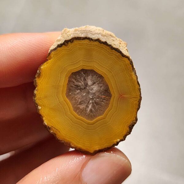 20260725_170415 Zhanguo Red Agate Pair Stone (unpolished) ZR079