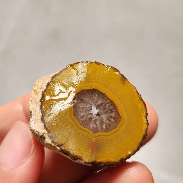 20260725_170428 Zhanguo Red Agate Pair Stone (unpolished) ZR079