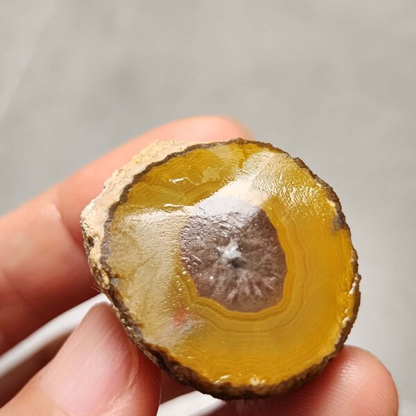 20260725_170440 Zhanguo Red Agate Pair Stone (unpolished) ZR079