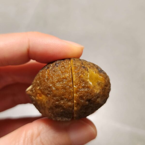 20260725_170510 Zhanguo Red Agate Pair Stone (unpolished) ZR079