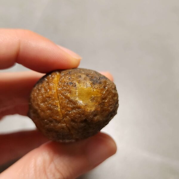 20260725_170514 Zhanguo Red Agate Pair Stone (unpolished) ZR079
