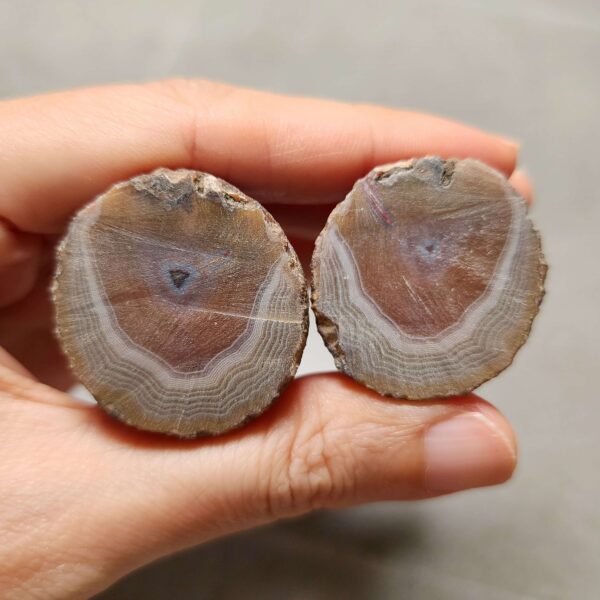 20260726_153349 Zhanguo Red Agate Pair Stone (unpolished) ZR080