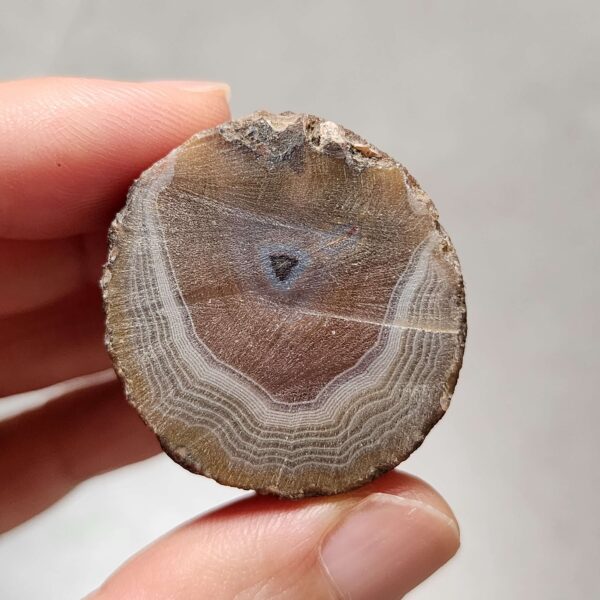 20260726_153409 Zhanguo Red Agate Pair Stone (unpolished) ZR080