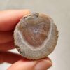 20260726_153415 Zhanguo Red Agate Pair Stone (unpolished) ZR080