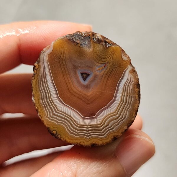 20260726_153451 Zhanguo Red Agate Pair Stone (unpolished) ZR080
