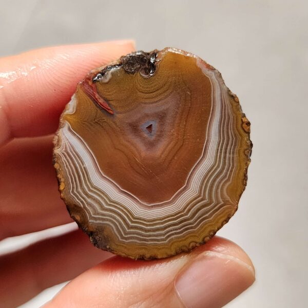 20260726_153508 Zhanguo Red Agate Pair Stone (unpolished) ZR080