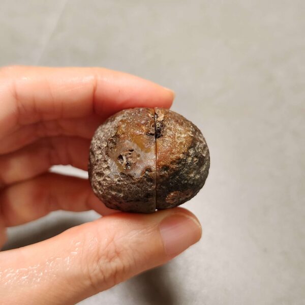 20260726_153536 Zhanguo Red Agate Pair Stone (unpolished) ZR080