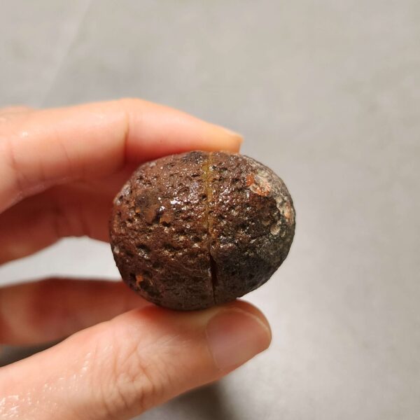 20260726_153543 Zhanguo Red Agate Pair Stone (unpolished) ZR080