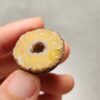 20260726_153700 Zhanguo Red Agate Pair Stone (unpolished) ZR081