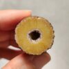 20260726_153711 Zhanguo Red Agate Pair Stone (unpolished) ZR081