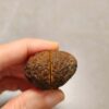 20260726_153908 Zhanguo Red Agate Pair Stone (unpolished) ZR081