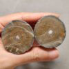 20260726_154000 Zhanguo Red Agate Pair Stone (unpolished) ZR082
