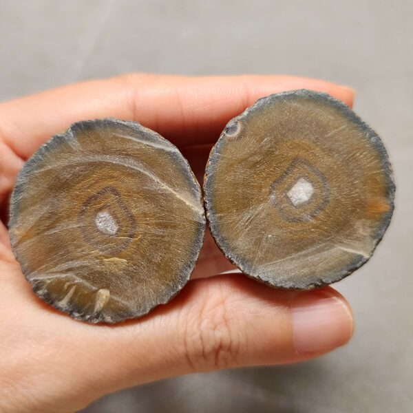 20260726_154000 Zhanguo Red Agate Pair Stone (unpolished) ZR082