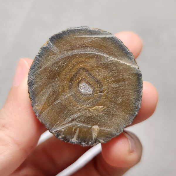 20260726_154012 Zhanguo Red Agate Pair Stone (unpolished) ZR082