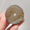 20260726_154030 Zhanguo Red Agate Pair Stone (unpolished) ZR082