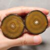 20260726_154049 Zhanguo Red Agate Pair Stone (unpolished) ZR082