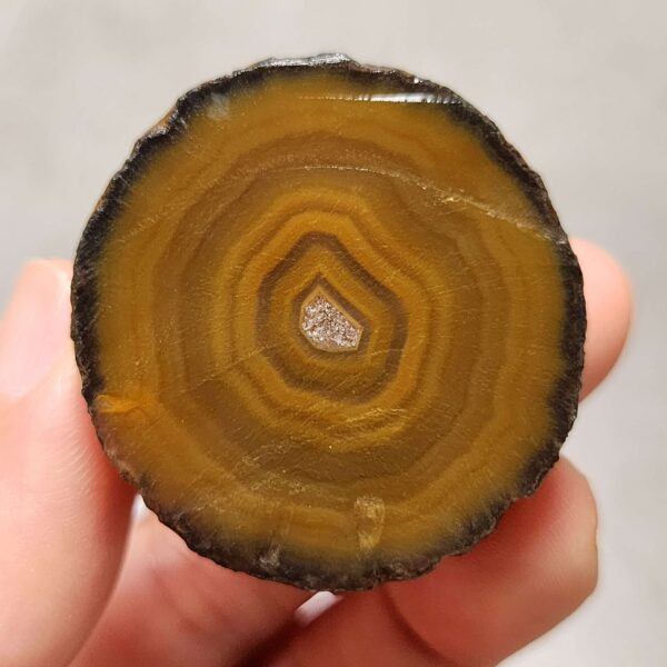 20260726_154102 Zhanguo Red Agate Pair Stone (unpolished) ZR082