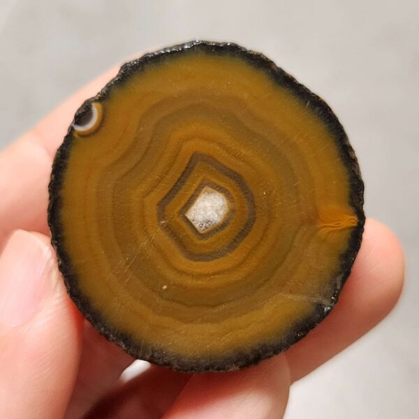 20260726_154118 Zhanguo Red Agate Pair Stone (unpolished) ZR082