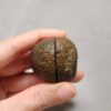 20260726_154153 Zhanguo Red Agate Pair Stone (unpolished) ZR082
