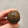 20260726_154157 Zhanguo Red Agate Pair Stone (unpolished) ZR082