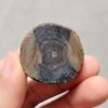 20260726_154408 Zhanguo Red Agate Pair Stone (unpolished) ZR083